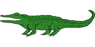 alligator