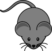 mouse