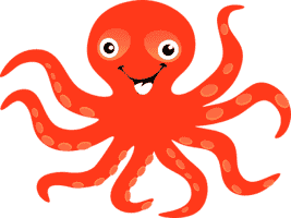octopus