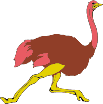 ostrich