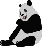 panda