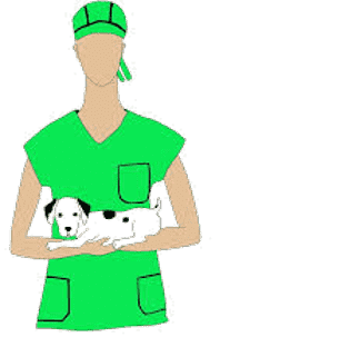vet