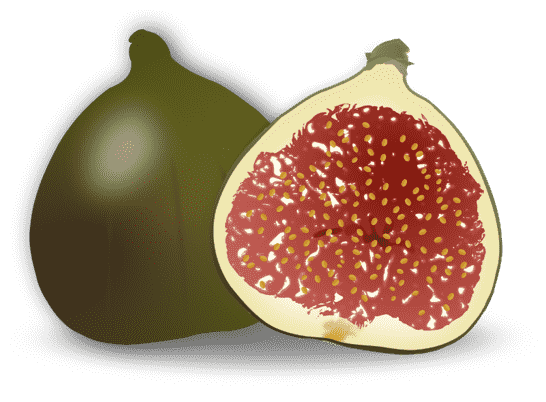 fig