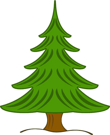 pine