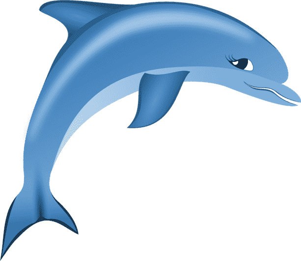 dolphin