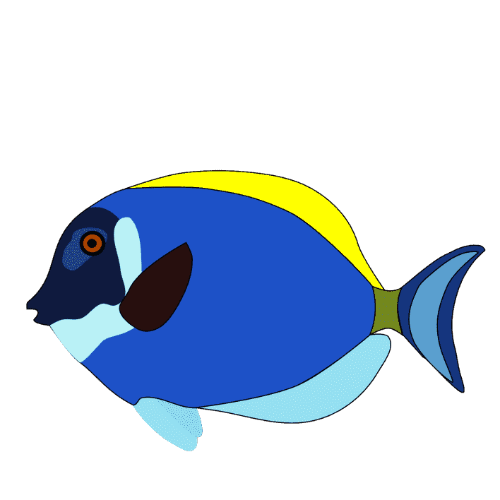 fish
