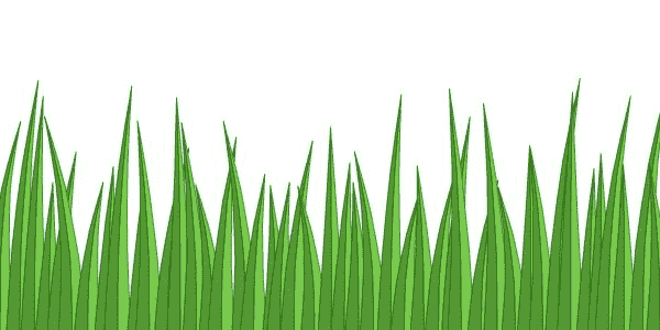 grass