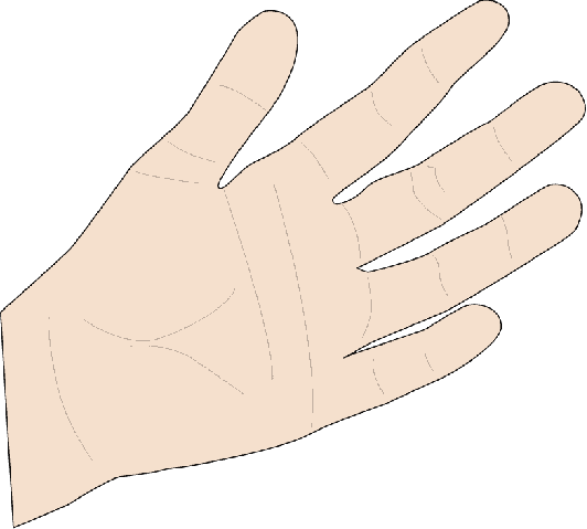 hand