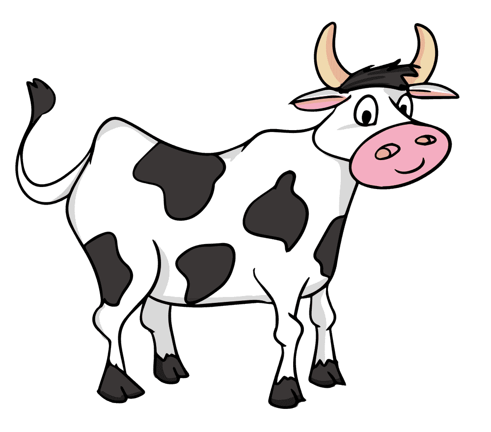 cow