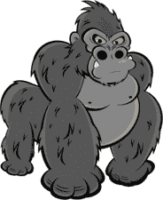 gorilla