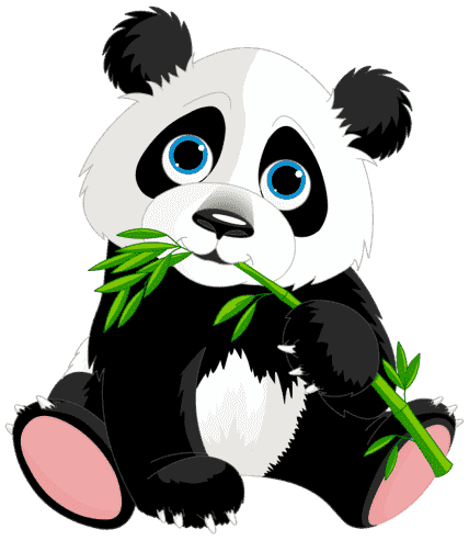 panda