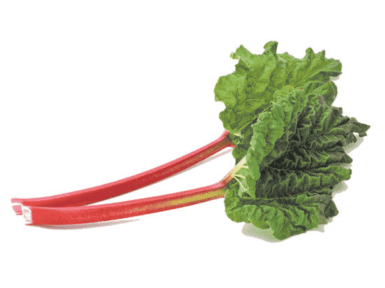 rhubarb