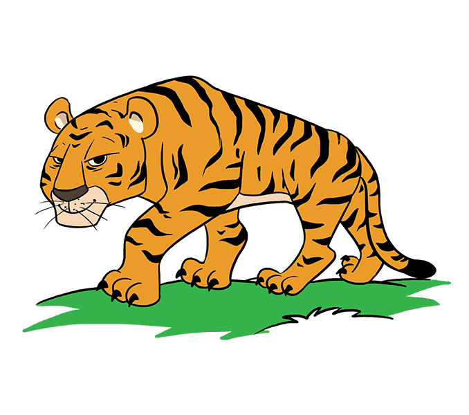 tiger